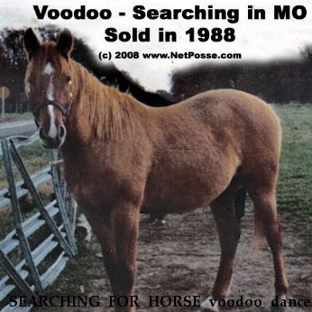SEARCHING FOR HORSE voodoo dancer, Near newburg, MO, 65550